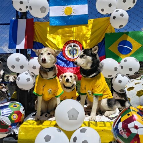Doggiesgarden mundial